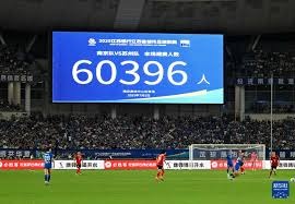 棒球与城市记忆：常春藤墙如何定义小熊队的主场灵魂